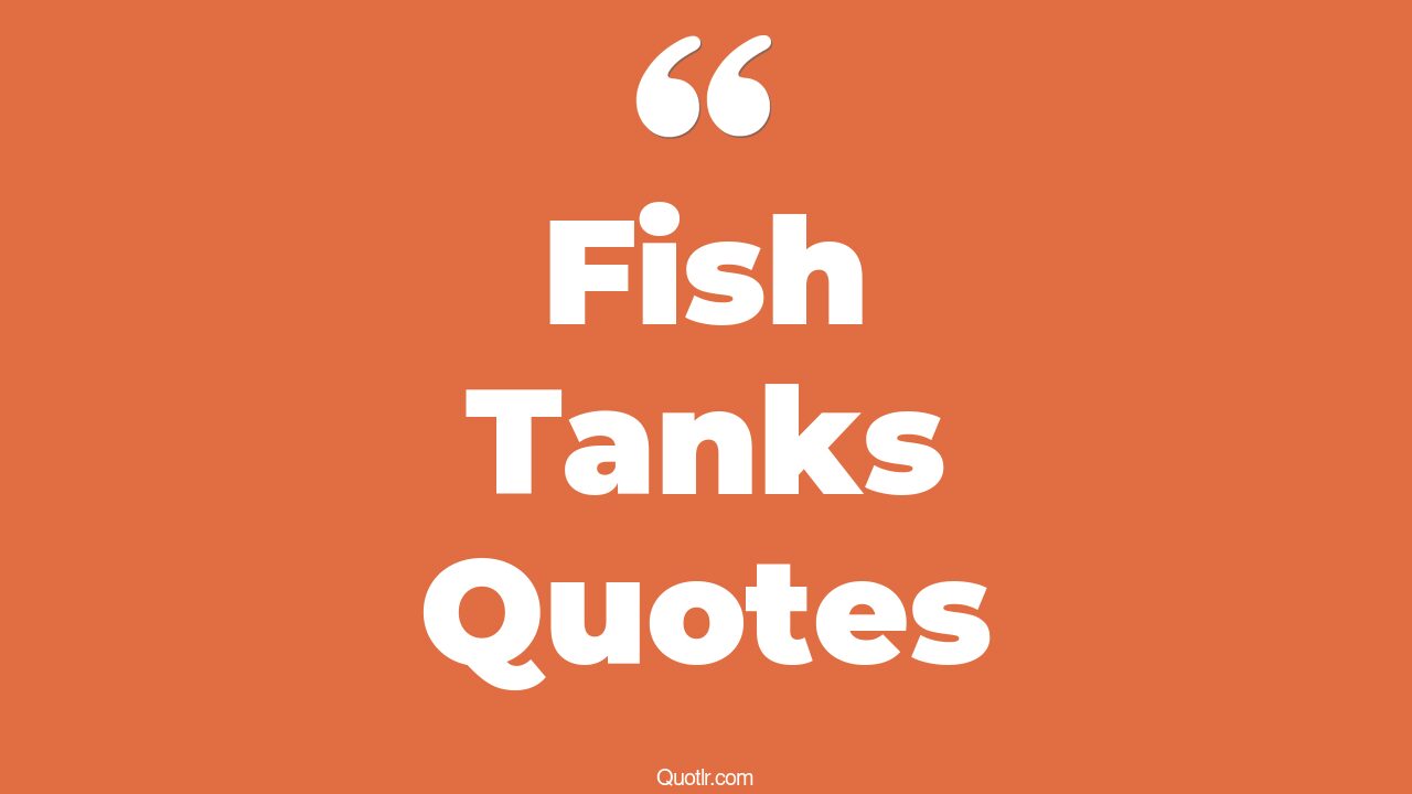 29+ Fulfilling Fish Tanks Quotes That Will Unlock Your True Potential