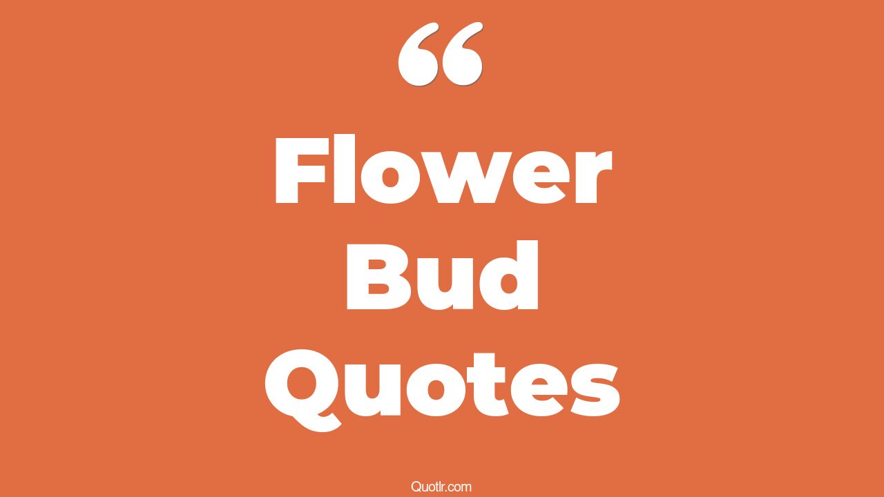 71+ Satisfaction Flower Bud Quotes That Will Unlock Your True Potential