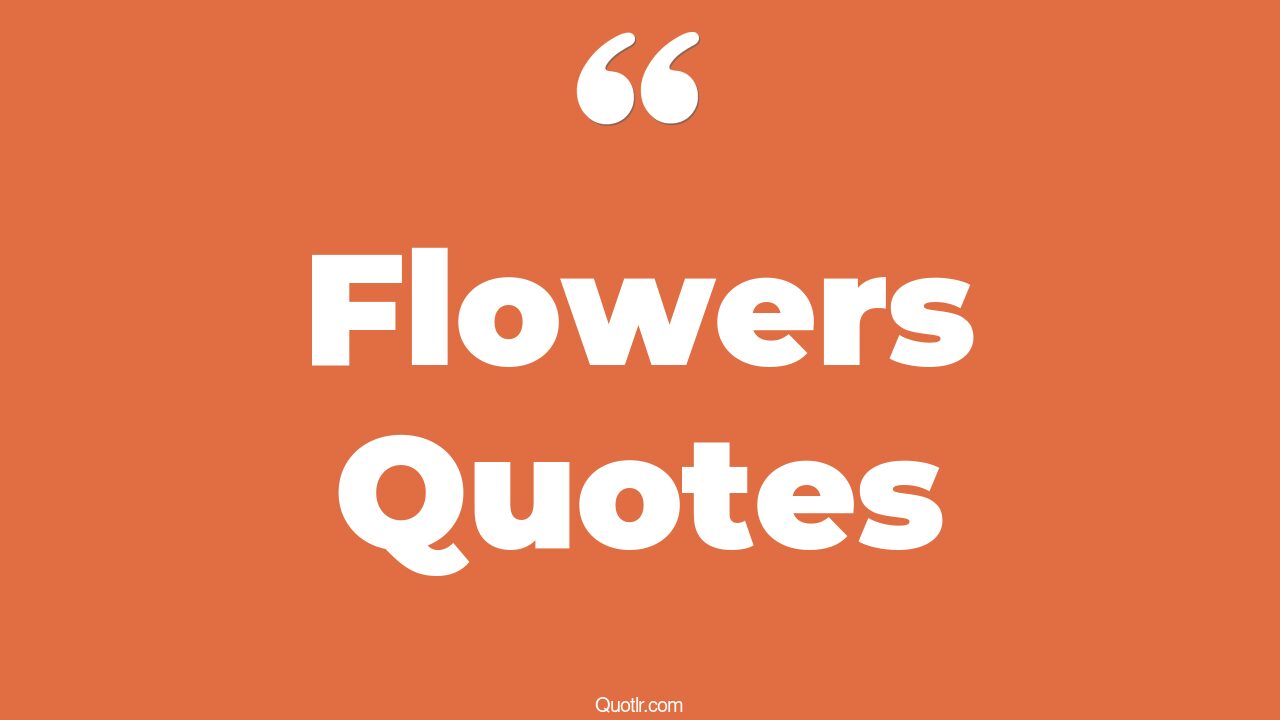 45 Empowering Flowers Quotes honey bee and flower, flower and bee