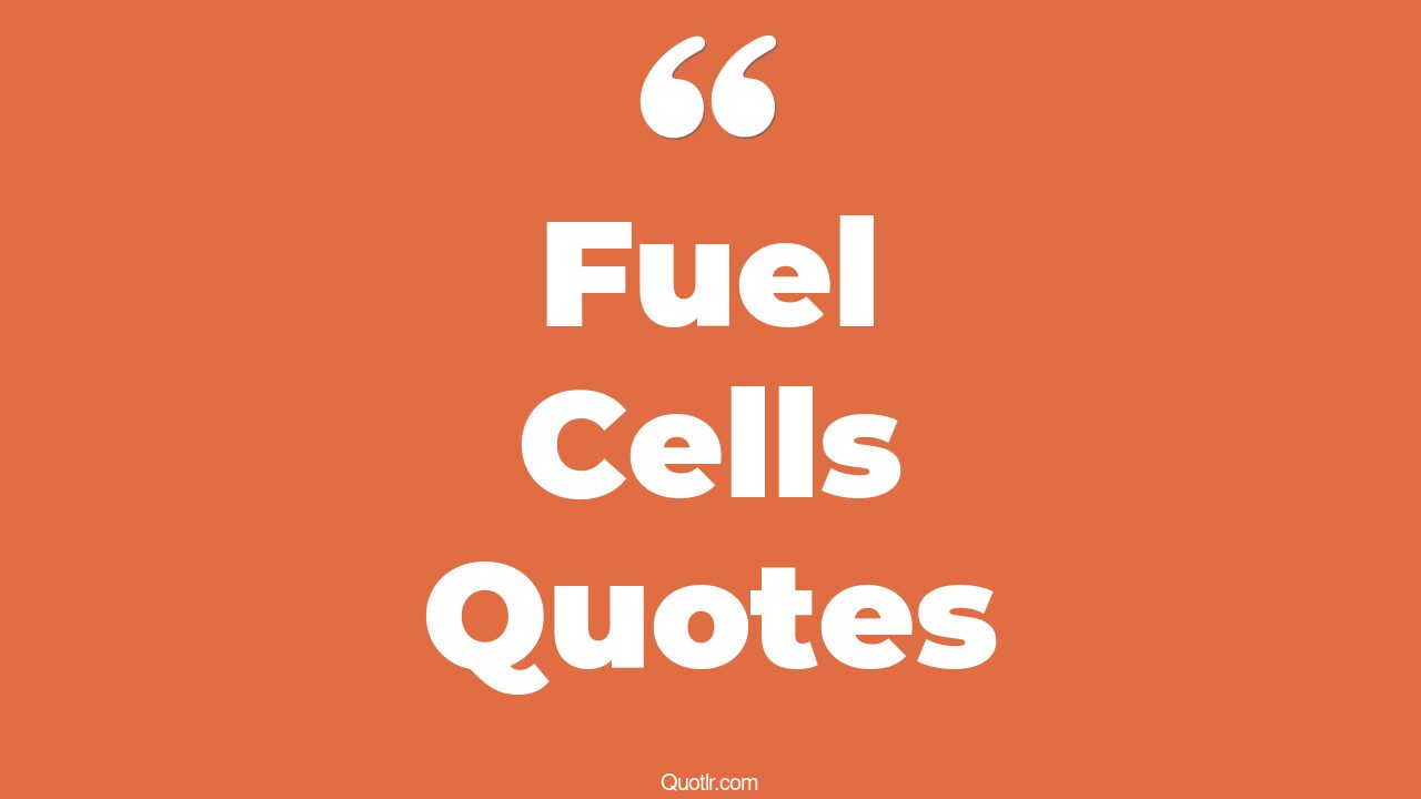 17+ Dreamy Fuel Cells Quotes That Will Unlock Your True Potential
