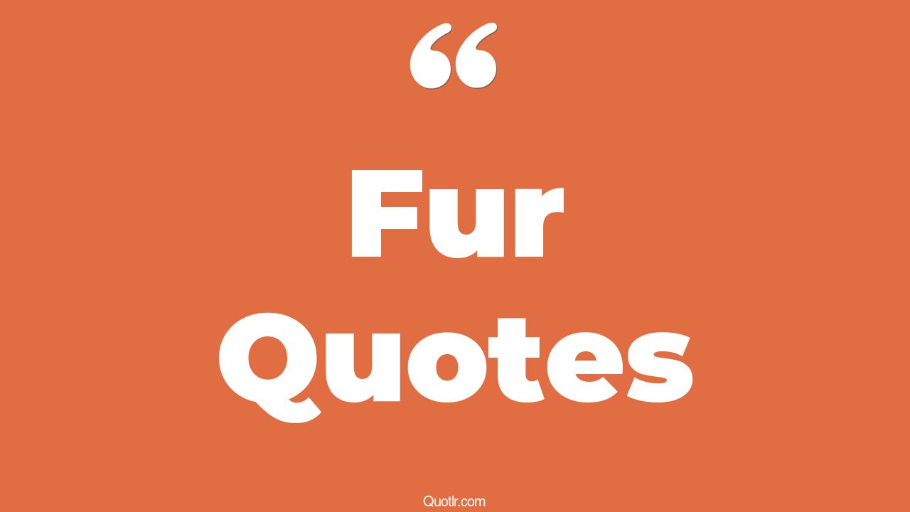 85+ Relaxing Fur Quotes That Will Unlock Your True Potential