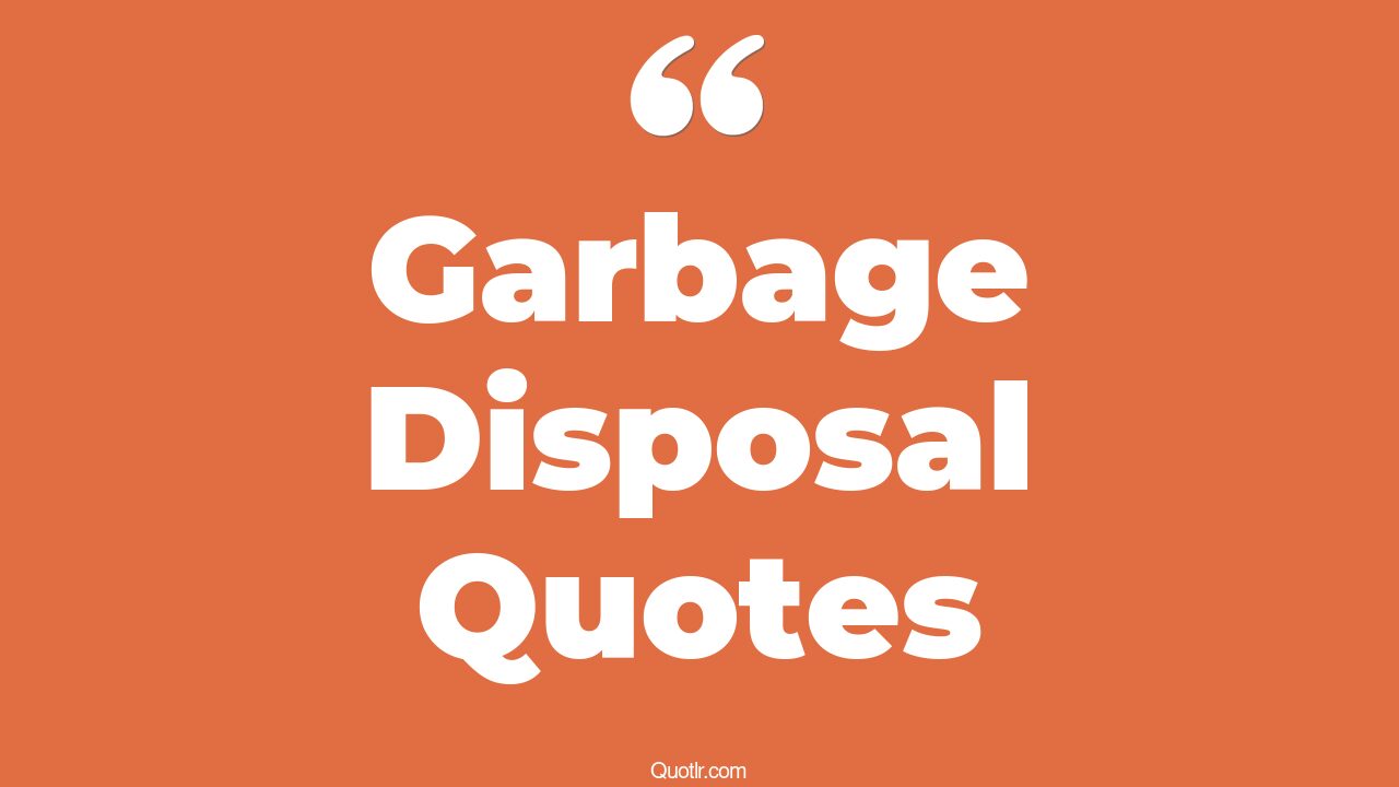 15+ Lust Garbage Disposal Quotes That Will Unlock Your True Potential