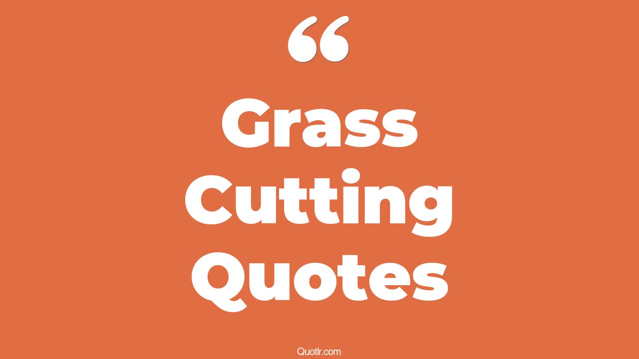 34+ Revolutionary Grass Cutting Quotes That Will Unlock Your True Potential