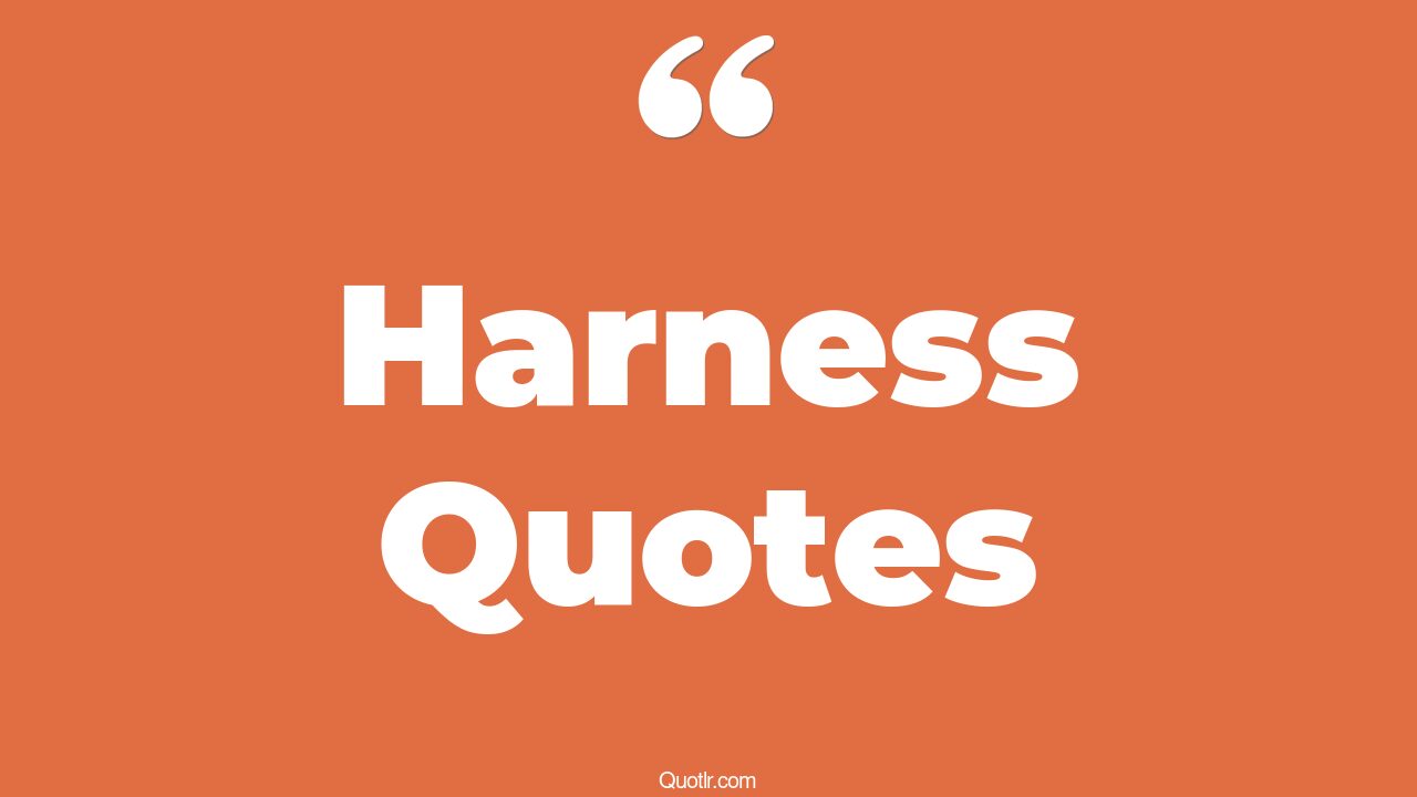 86 Eyeopening Harness Quotes (dog harness, safety harness, harness racing)