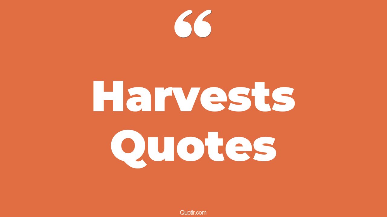 45 Delightful Harvests Quotes what you plant is what you harvest