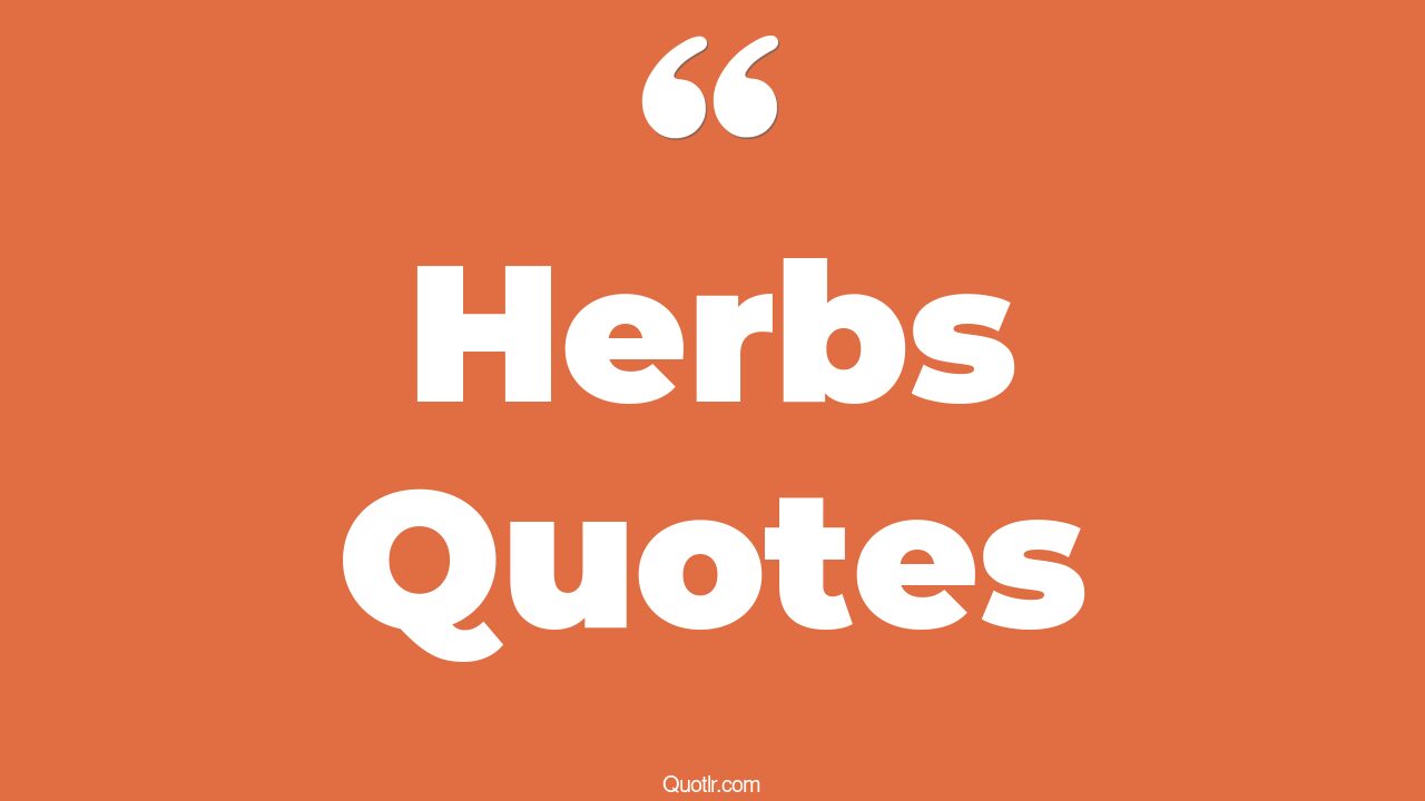 94 Attractive Herbs Quotes (sage herb, bojack horseman herb, basil herb)