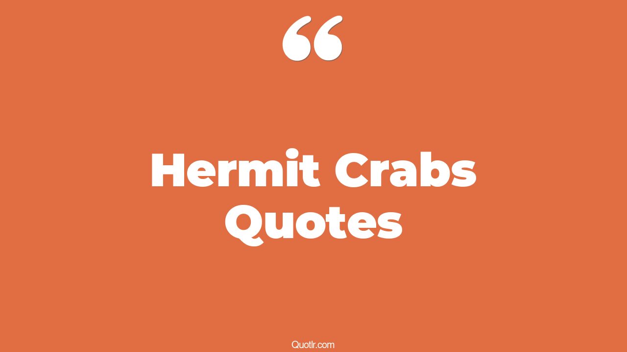 6+ Surprising Hermit Crabs Quotes That Will Unlock Your True Potential
