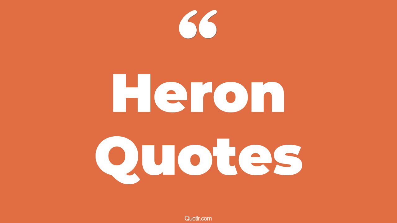 53 Herons Quotes to Help You Appreciate Nature's Grace