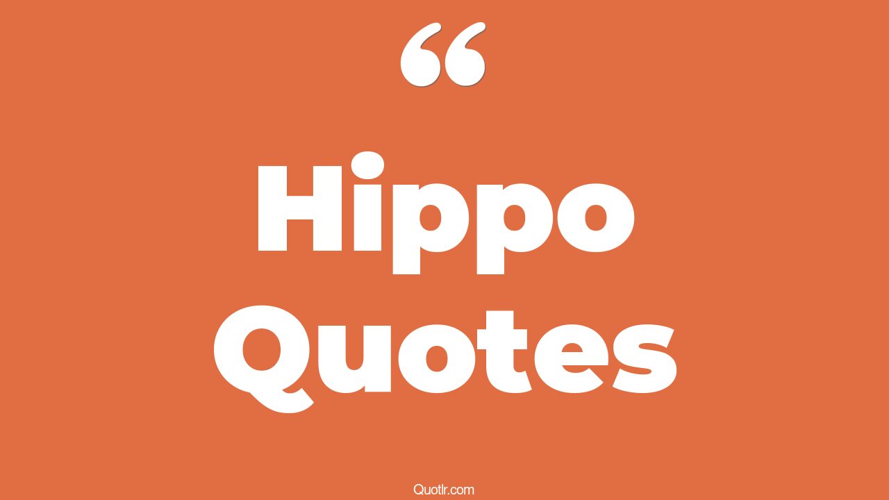 42+ Fascinating Hippo Quotes That Will Unlock Your True Potential