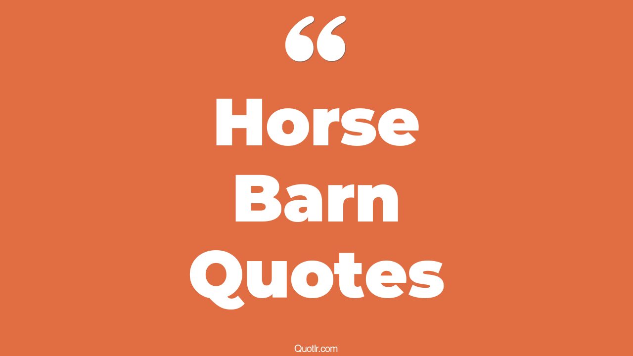12+ EyeOpening Horse Barn Quotes That Will Inspire Your Inner Self