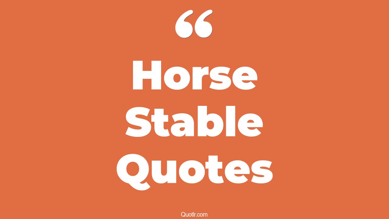 24+ EyeOpening Horse Stable Quotes That Will Inspire Your Inner Self