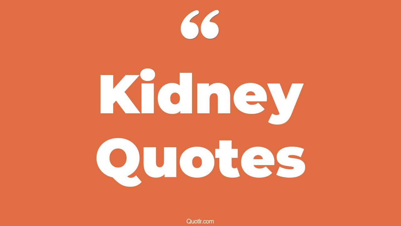 45 Grateful Joey Kidney Quotes positive kidney, healthy kidney quotes