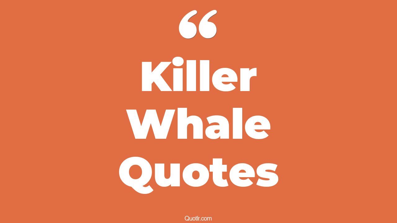 9+ Killer Whale Quotes To Inspire You