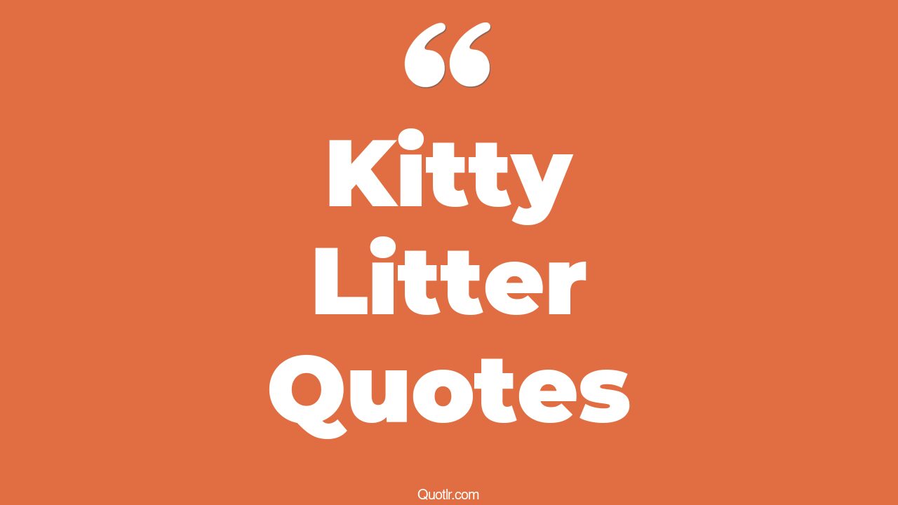 5+ Fulfilling Kitty Litter Quotes That Will Unlock Your True Potential