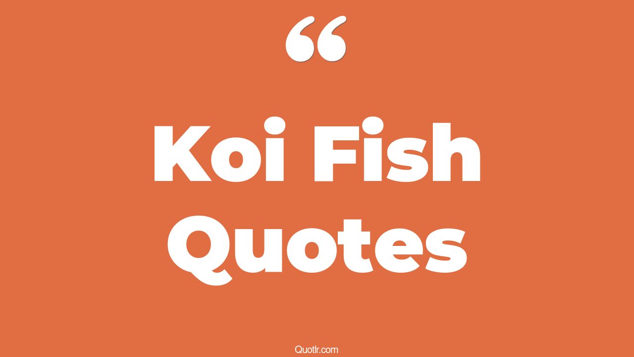 2 Koi Fish Quotes To Inspire You In Life