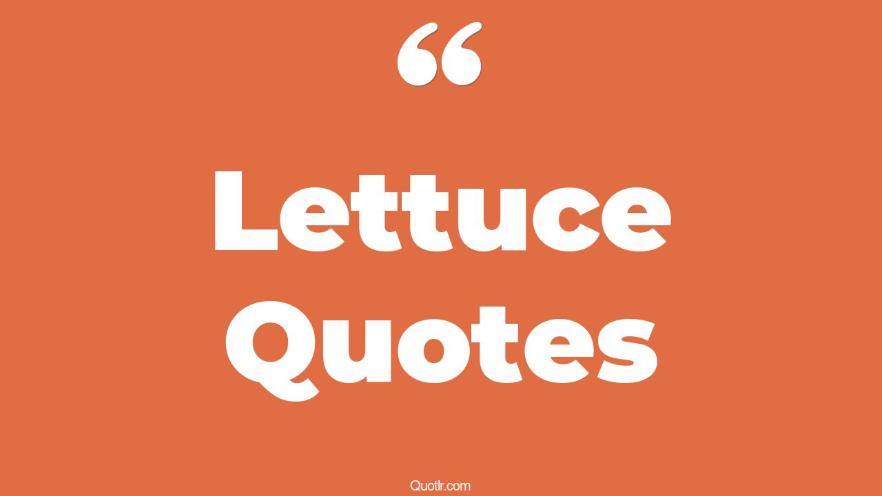 45 Grateful Fresh Lettuce Quotes chavez, what did the lettuce say to