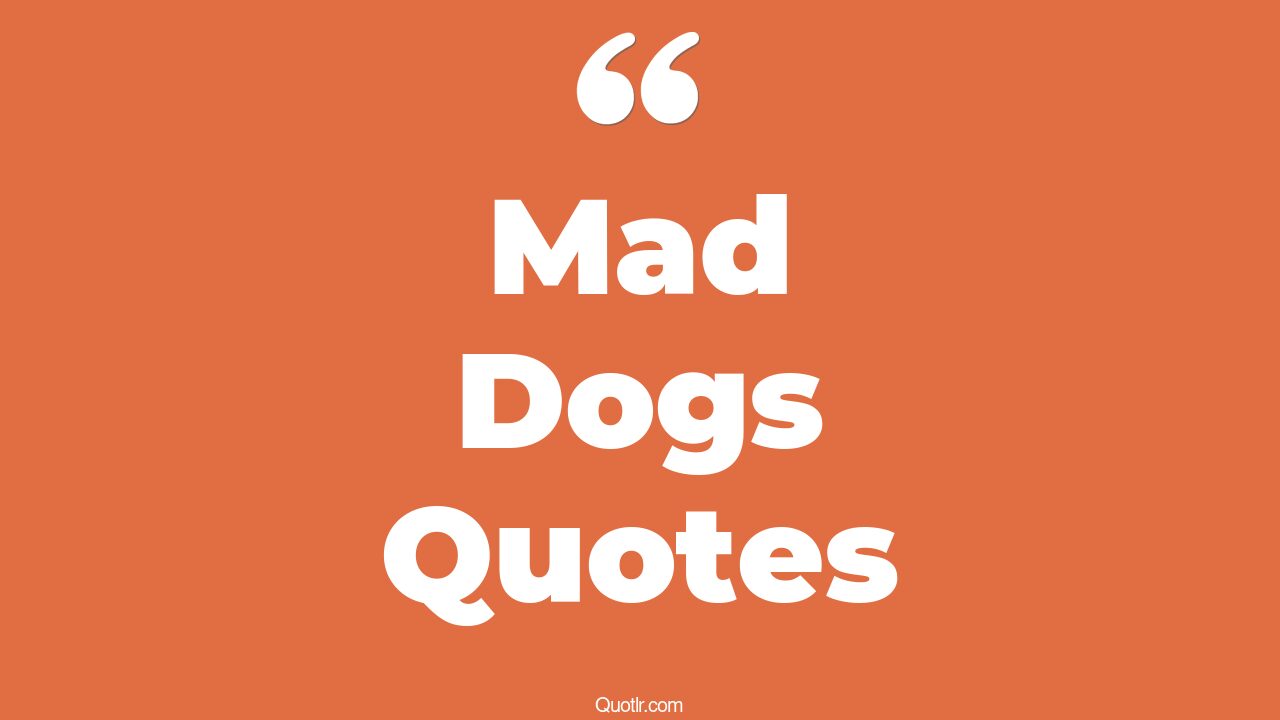 45+ Jawdropping Mad Dogs Quotes That Will Unlock Your True Potential