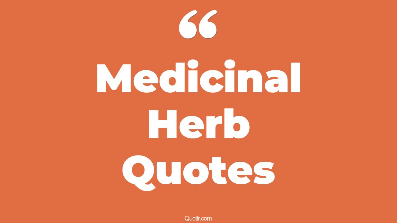 15+ EyeOpening Medicinal Herb Quotes That Will Inspire Your Inner Self