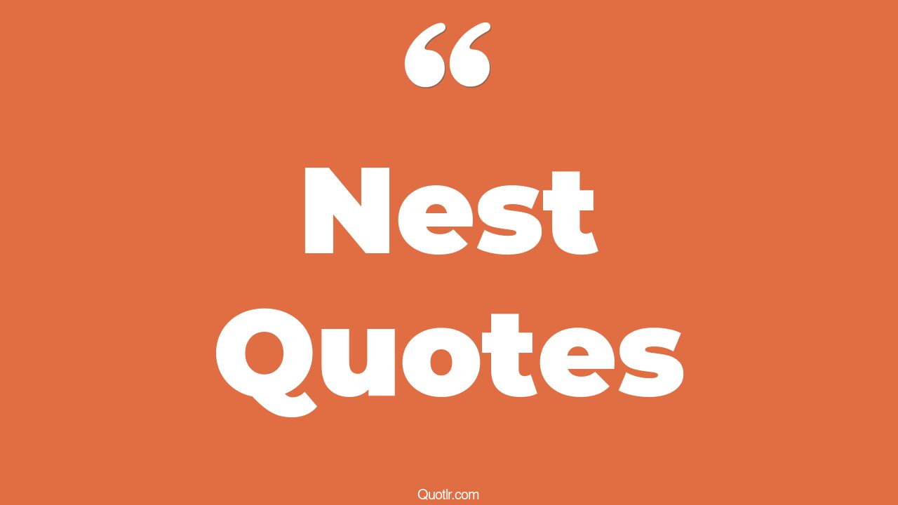 45+ Contentment Nest Quotes That Will Unlock Your True Potential