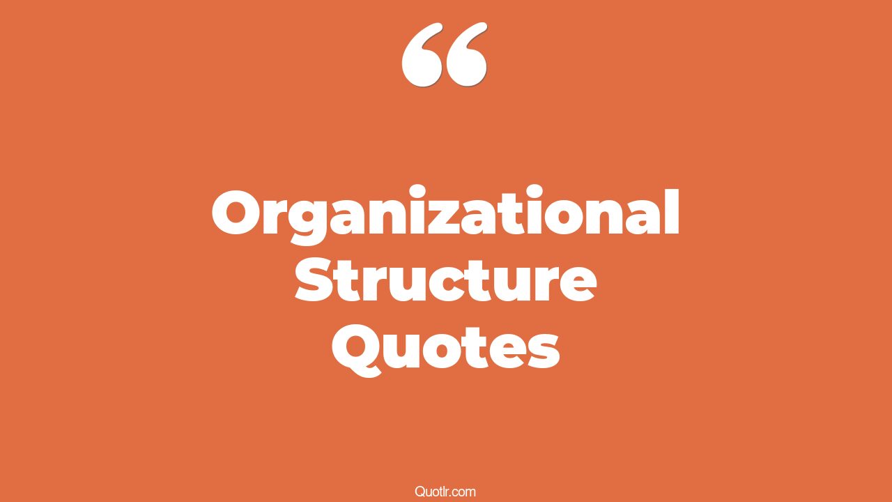 21+ Jawdropping Organizational Structure Quotes That Will Unlock Your