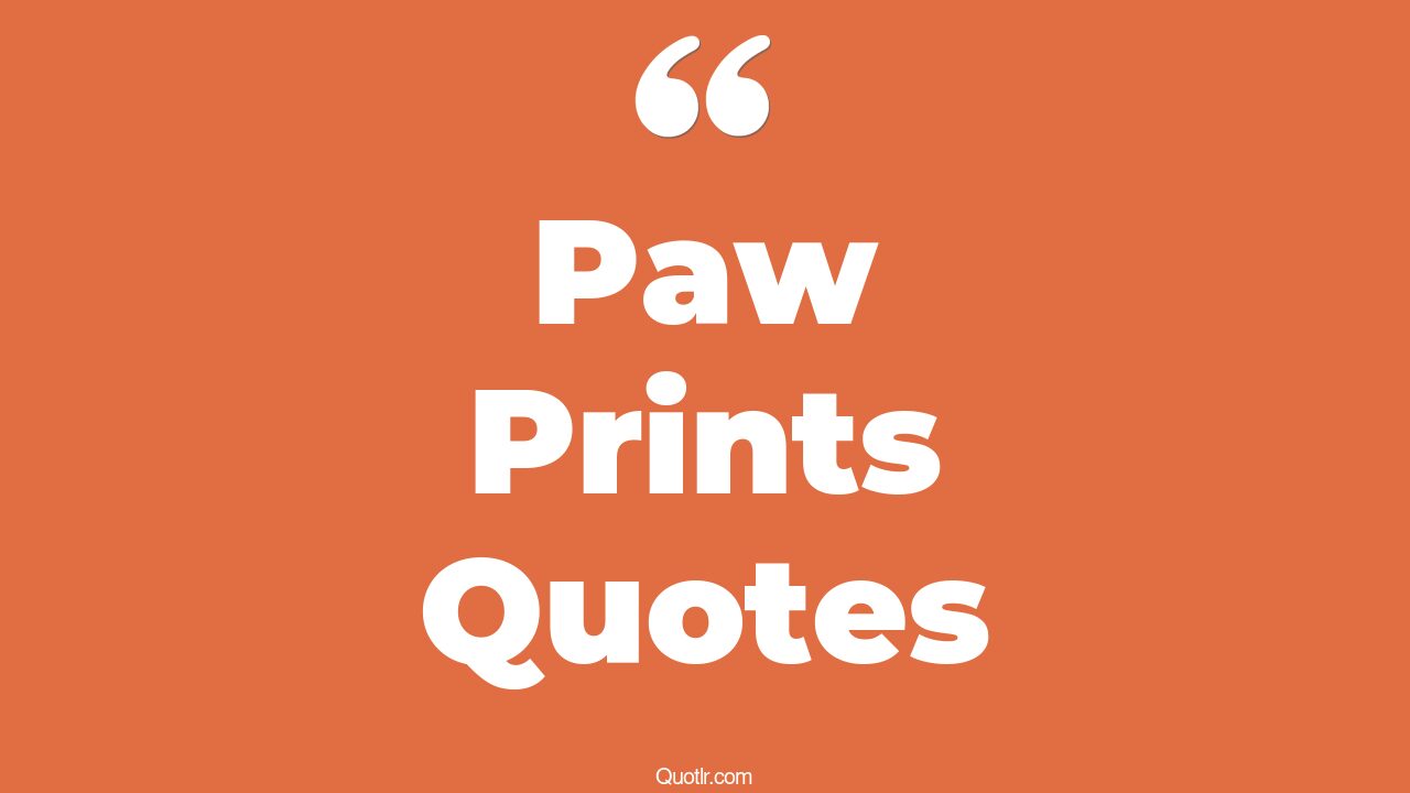 7+ Unconventional Paw Prints Quotes That Will Unlock Your True Potential