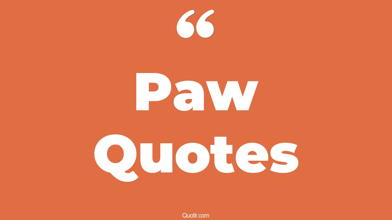 59+ Mouthwatering Paw Quotes That Will Unlock Your True Potential