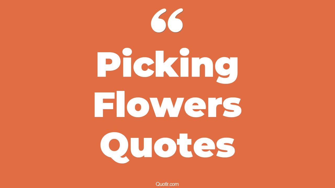 45+ Romantic Picking Flowers Quotes That Will Unlock Your True Potential