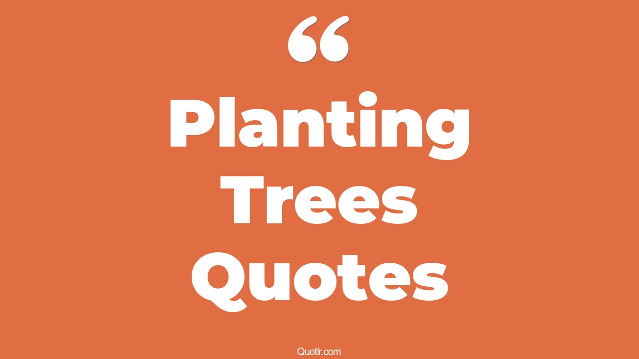 45+ EyeOpening Planting Trees Quotes That Will Inspire Your Inner Self