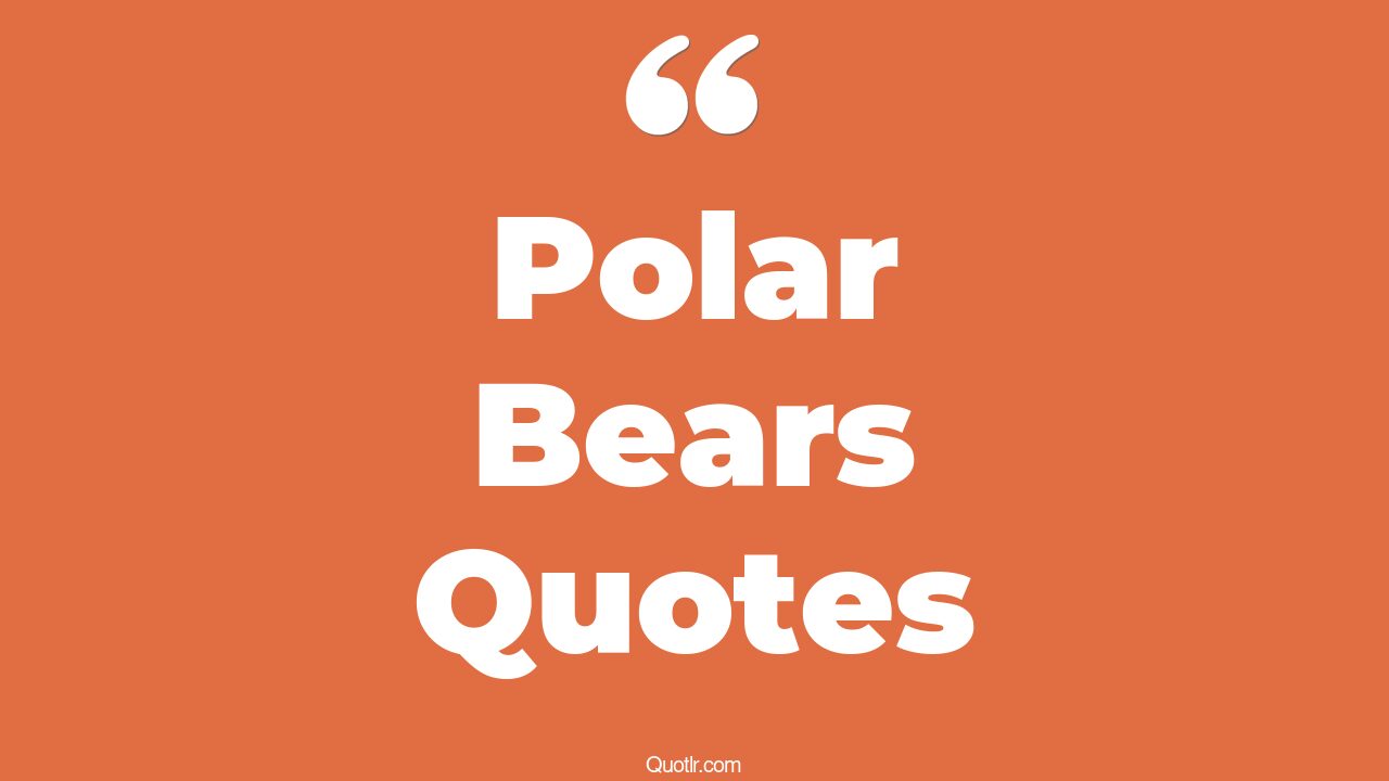 45+ Strong Polar Bears Quotes That Will Unlock Your True Potential