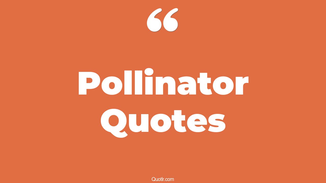 38+ EyeOpening Pollinator Quotes That Will Inspire Your Inner Self