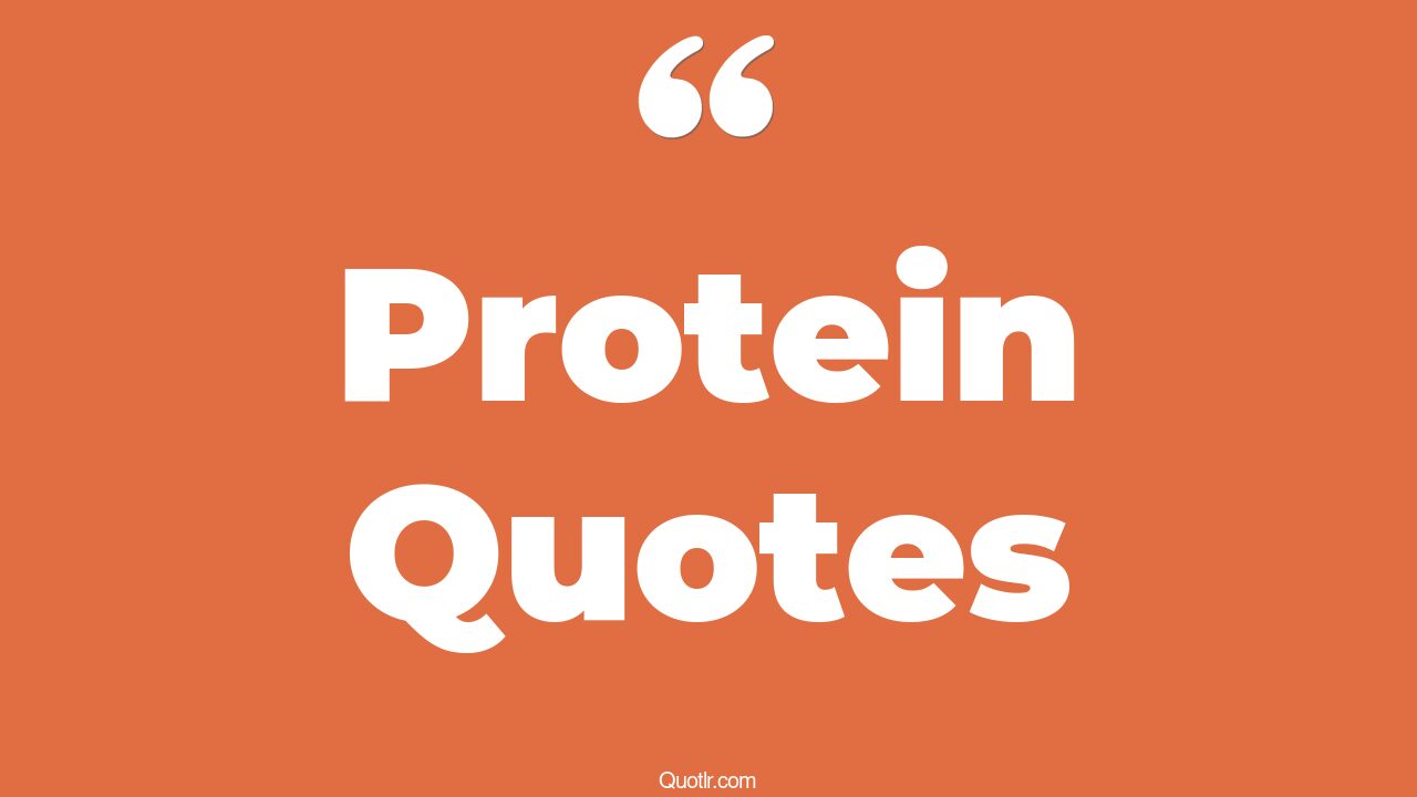85 Memorable Protein Quotes (whey protein, gym protein, eat your protein)