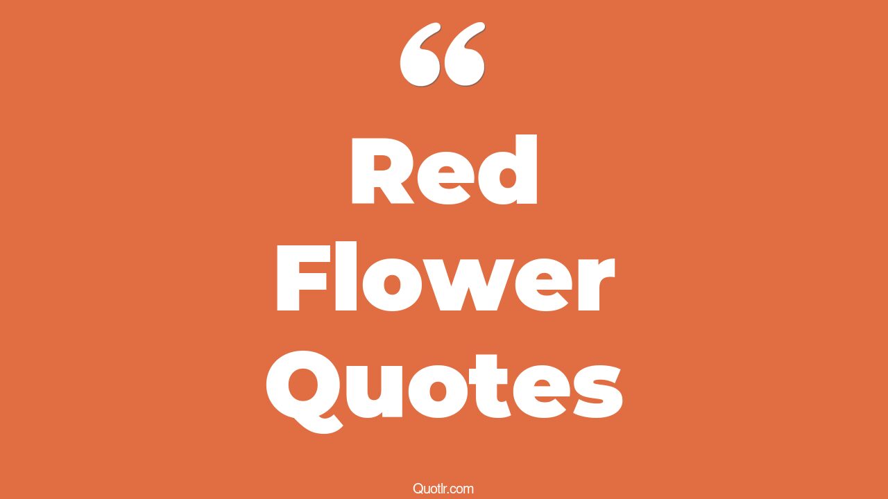 45+ Unique Red Flower Quotes That Will Unlock Your True Potential