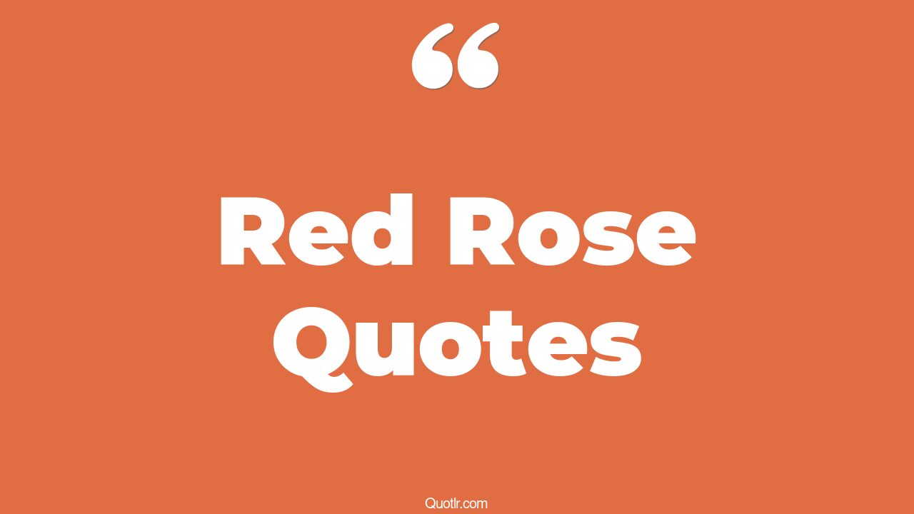 116+ Delicious Red Rose Quotes That Will Unlock Your True Potential