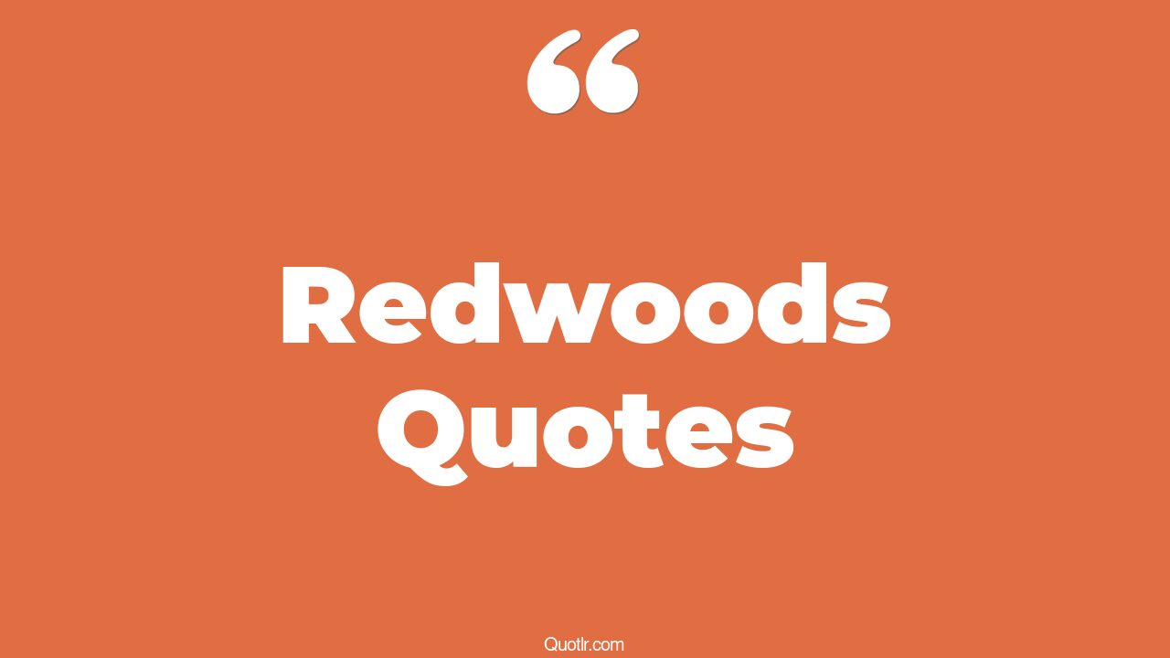 82 Tremendous Redwoods Quotes (lou redwood, redwood and ponytail, john