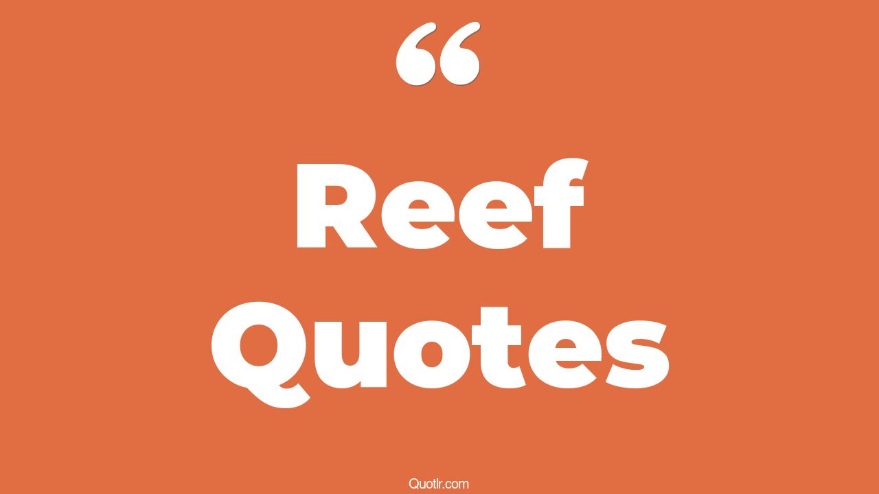 86 Sensual Reef Quotes (coral reef, protect coral reef, the first stone