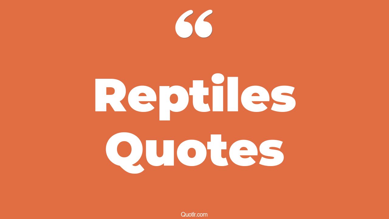 150 Sentimental Reptiles Quotes (mk1 reptile, cute reptile, mk reptile)