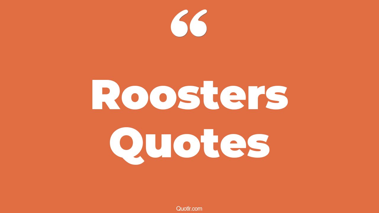 100 Successful Roosters Quotes (fighting rooster, top gun maverick