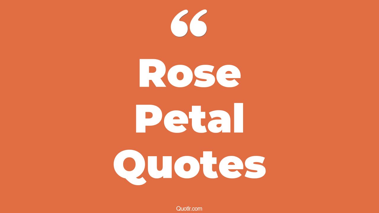 45+ EyeOpening Rose Petal Quotes That Will Inspire Your Inner Self