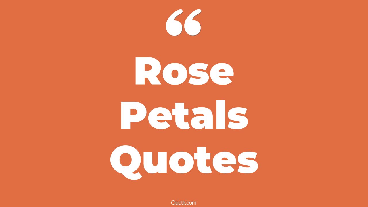 45+ Scandalous Rose Petals Quotes That Will Unlock Your True Potential