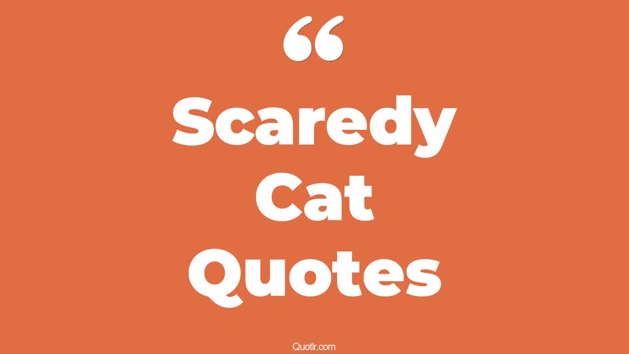 5+ EyeOpening Scaredy Cat Quotes That Will Inspire Your Inner Self