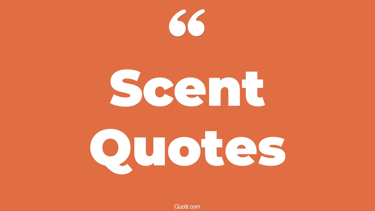 490+ Proven Scent Quotes That Will Unlock Your True Potential