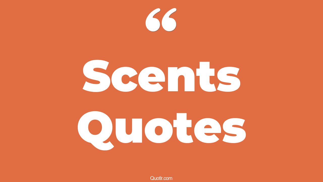 175 Scent Quotes to Awaken Your Senses and Inspire Your Soul