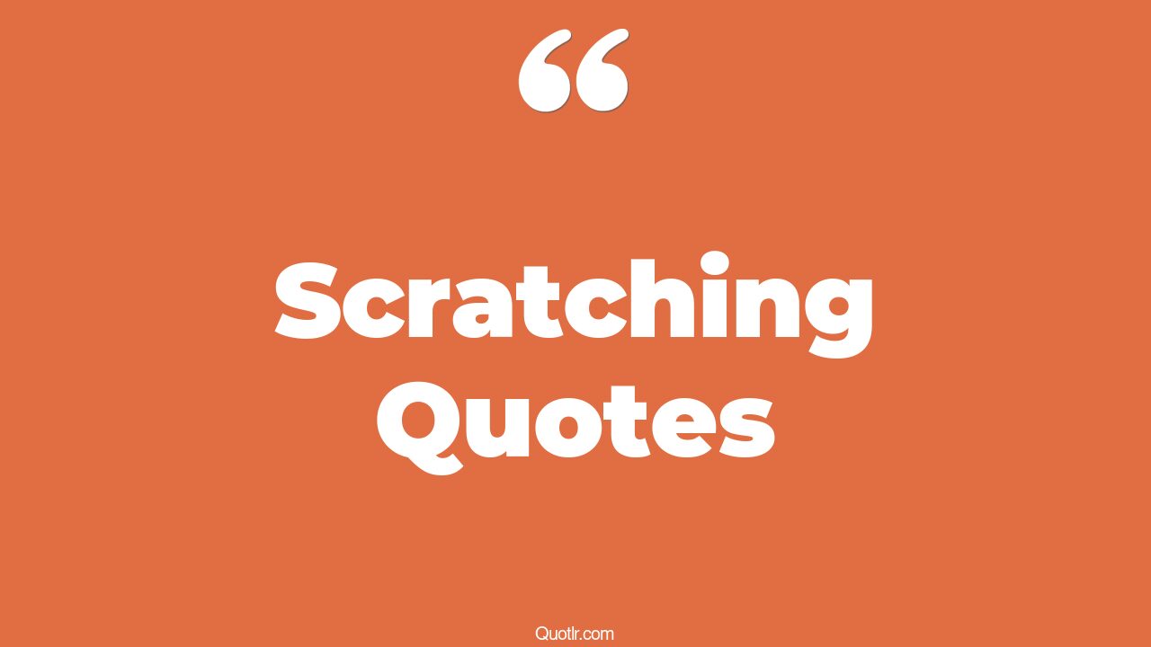 662 Devotion Scratching Quotes starting from scratch, back scratch quotes
