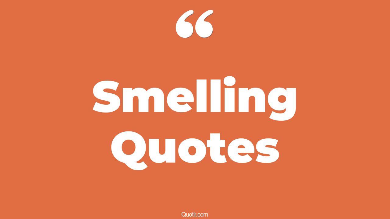 The 35+ Smelling Quotes Page 16 ↑QUOTLR↑