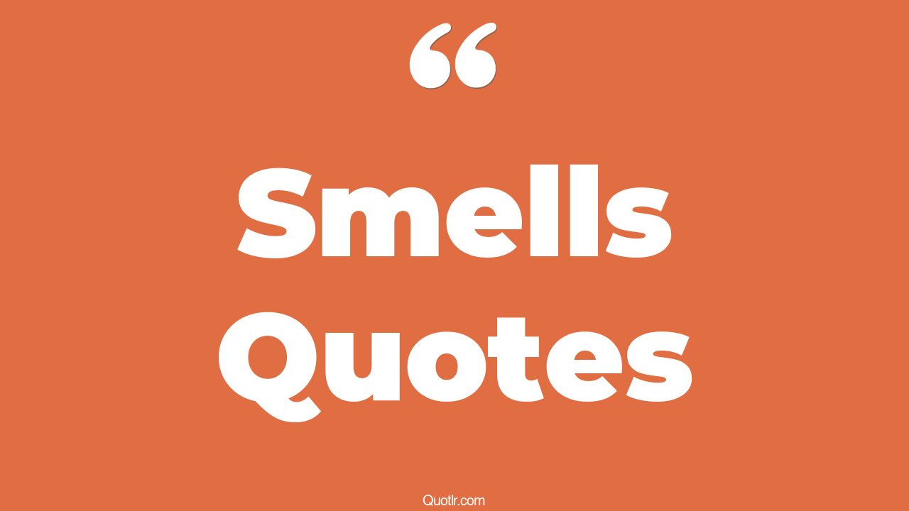 155 Smell Quotes to Awaken Your Senses and Inspire Your Soul