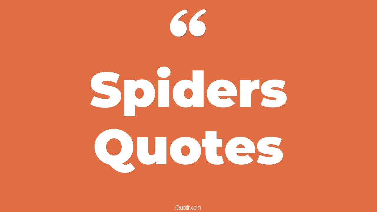 35+ EyeOpening Spiders Quotes That Will Inspire Your Inner Self