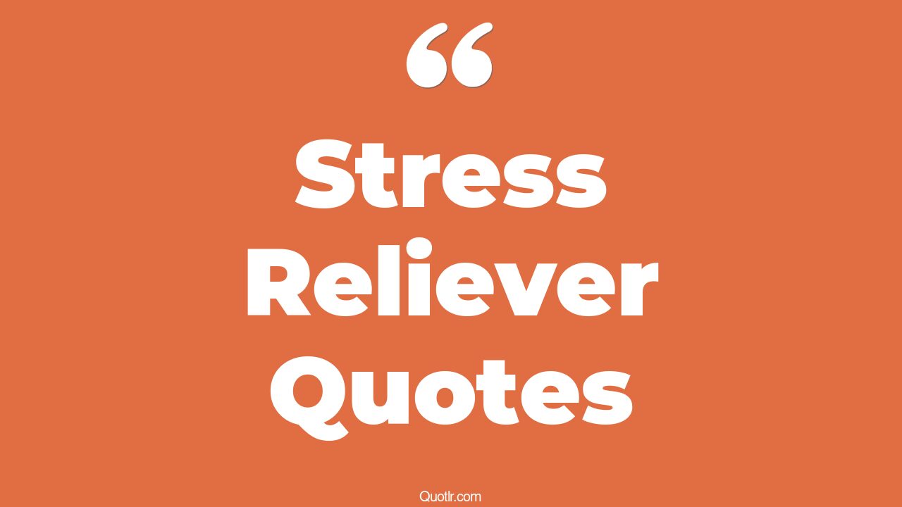 44+ Joyful Stress Reliever Quotes That Will Unlock Your True Potential