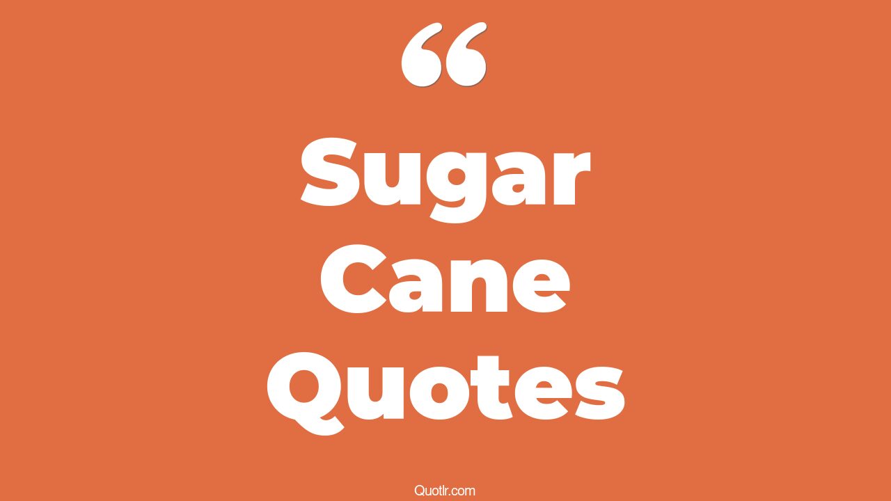 11+ Beautiful Sugar Cane Quotes That Will Unlock Your True Potential