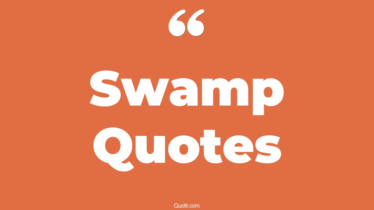 45+ Unbelievable Swamp Quotes That Will Unlock Your True Potential
