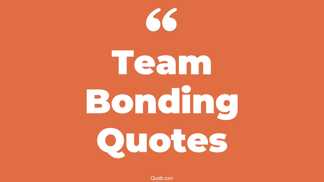 16+ Vibrant Team Bonding Quotes That Will Unlock Your True Potential